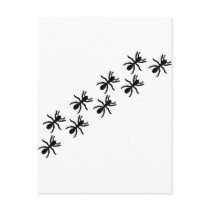 black ants trail postcard