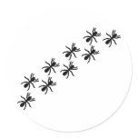black ants trail round sticker