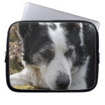 Black Australian Cattle Dog Electronics Bag Laptop Sleeves