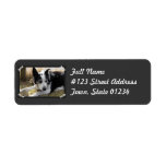 Black Australian Cattle Dog Mailing Label