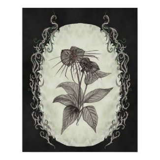 Black Bat Plant Botanical Print print