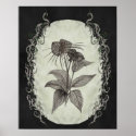 Black Bat Plant Botanical Print