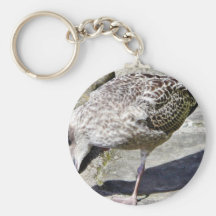 Black Beaked Sea Bird Animal Keychains