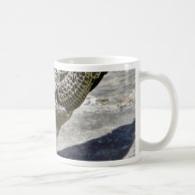 Black Beaked Sea Bird Animal Mugs