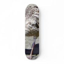 Black Beaked Sea Bird Animal skateboards by lifesphere Black Beaked Sea Bird Animal skateboards