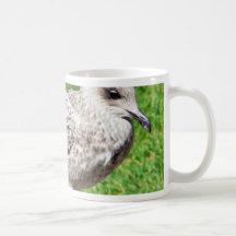 Black Beaked Sea Bird Close Up Coffee Mug
