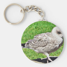 Black Beaked Sea Bird Close Up Keychains