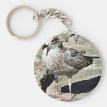 Black Beaked Sea Bird Keychains