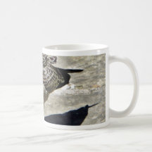 Black Beaked Sea Bird Mugs