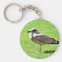 Black Beaked Sea Bird On Grass Keychain