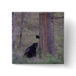 Black Bear and Cub Buttons