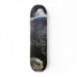 Black Bear Animal Skate Board Deck