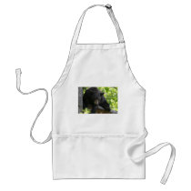 black bear aprons