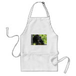 black, bears, cubs, bear, calendar, beaqr, calender, photos, pics