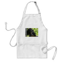 black bear aprons