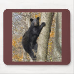 Black Bear at Shenandoah National Park Mousepad
