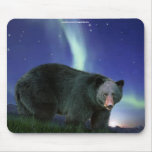 Black Bear & Aurora Art Wildlife-support Mousepad