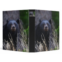 black bear binders by WorldDesign black bear binders
