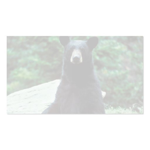 Black bear business cards (back side)