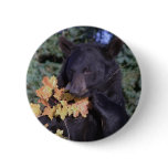 Black Bear Buttons