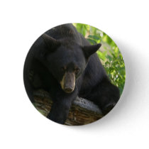 black bear button