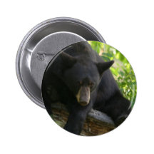 black bear button