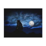 Black bear by moonlight post cards