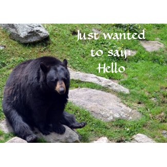 Black Bear Card card
