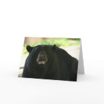 black bear cards