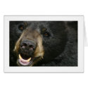Black Bear cards