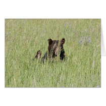 Black Bear Cards