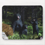 Black Bear Country mousepads