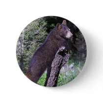 Black Bear Cub Buttons
