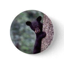 Black Bear Cub Pinback Buttons