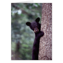 Black Bear Cub Greeting Card