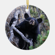 black bear cub christmas ornaments