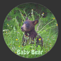 Black Bear Cub eating Dandelions Photo stickers