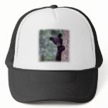 Black Bear Cub Trucker Hat