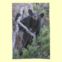 black bear cub kitchen towels