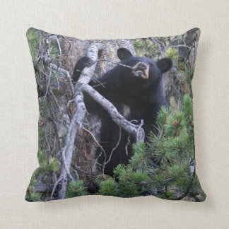 black bear pillows