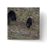 Black Bear Cub Pinback Button