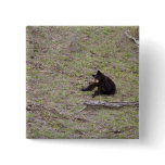 Black Bear Cub Pins