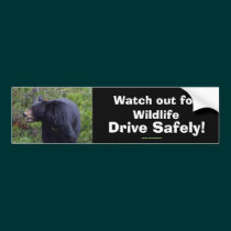 Black Bear Cub Wildlife Supporter Bumper Sticker bumper stickers