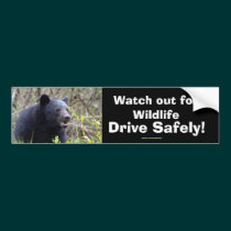 Black Bear Cub Wildlife Supporter Bumper Sticker bumper stickers
