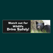 Black Bear Cub Wildlife Supporter Bumper Sticker bumper stickers