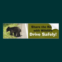 Black Bear Cub Wildlife Supporter Bumper Sticker bumper stickers
