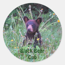 Black Bear Cub with Dandelions Photo 2 Stickers