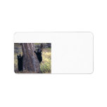 black bear cubs address label
