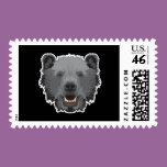 black bear face