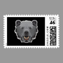 black bear face